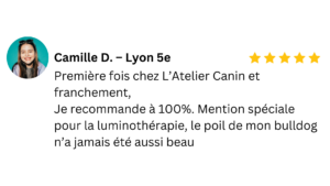 Actualités / Blog