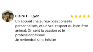 Actualités / Blog